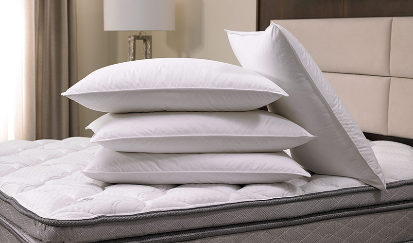 Feather & Down Pillow  Shop Hotel Bedding, Sheets, Pillows and More at The  Sheraton Store